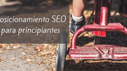 guia de posicionamiento SEO para principiantes