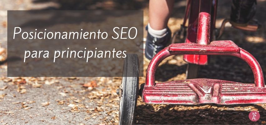 guia de posicionamiento SEO para principiantes